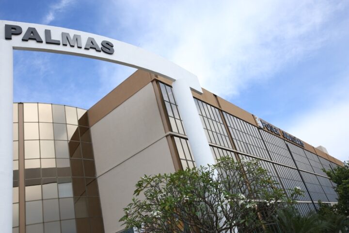 Forumdepalmas2017 05