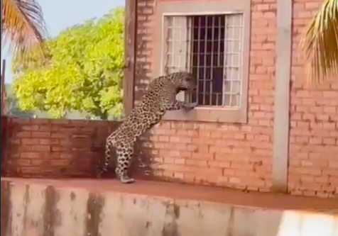 Captura de tela 2025 09 25 às 20.49.11