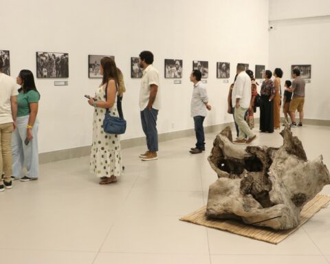 Sesc cajuína teresina