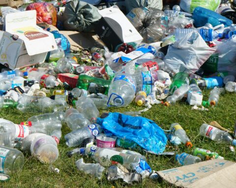 Ariungoo batzorig k6ehmbllik8 unsplash