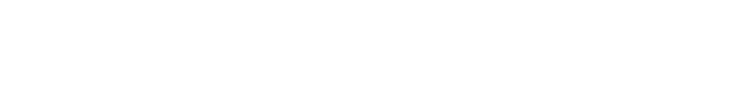 LOGO BRANCA TOCANTINS POST