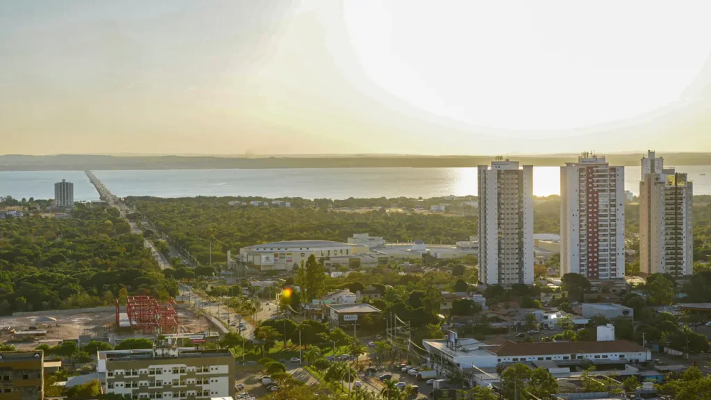 Palmas