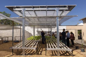Projeto agrivoltaico Sonho, Luz e Raiz