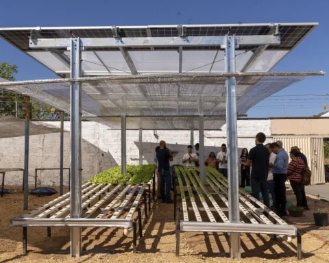 Projeto agrivoltaico Sonho, Luz e Raiz