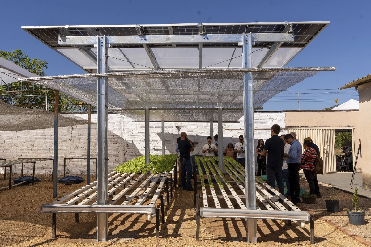 Projeto agrivoltaico Sonho, Luz e Raiz
