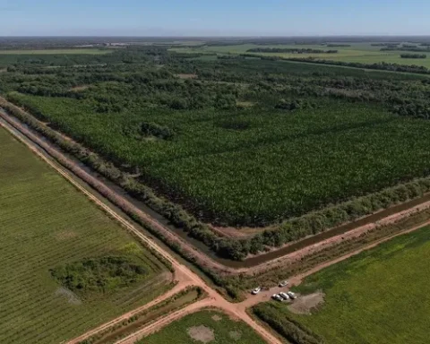 Bacia do Rio Formoso medidas ambientais