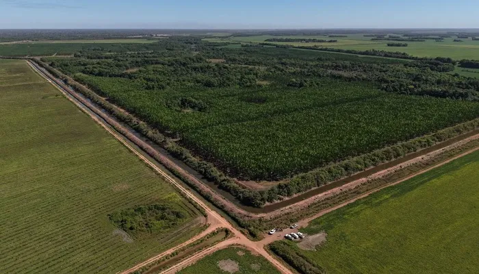 Bacia do Rio Formoso medidas ambientais