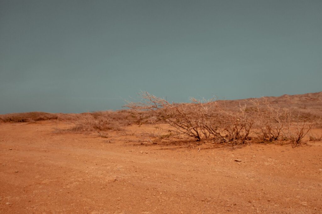 brown desert sand